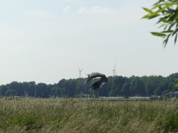 p1020769