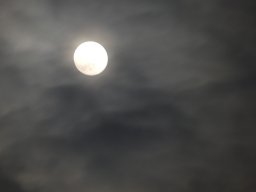 Mond