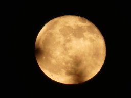 Mond