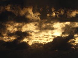 101060613