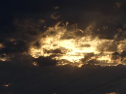 101060615