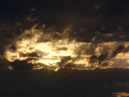 101060616
