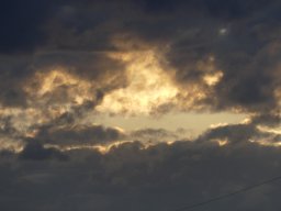 101060617