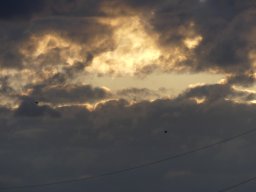 101060618