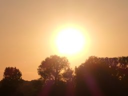 102010003
