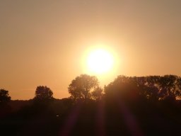 102010004