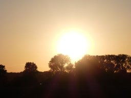 102010010