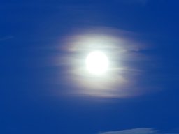102010016