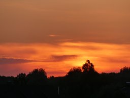 102010018