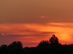 102010019