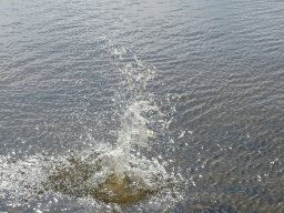 Wasserspiele