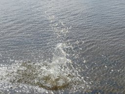 p1000859