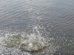 p1000860