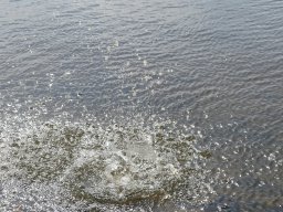 p1000861