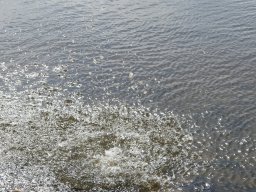 p1000862