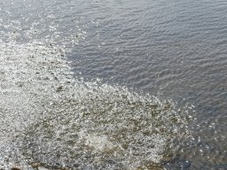 p1000865
